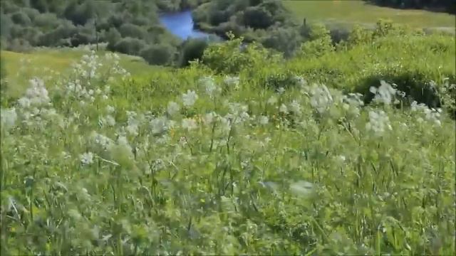 Детства золотистые страницы Музыка, исполн-н Николай Курочкин Слова, фото, монтаж Анны Опариной смотреть онлайн