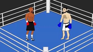 Хабиб Нурмагомедов vs Флойд Мейвезер Бокс, ММА