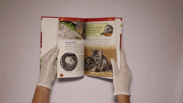 Домашние питомцы (Энциклопедия для детского сада)