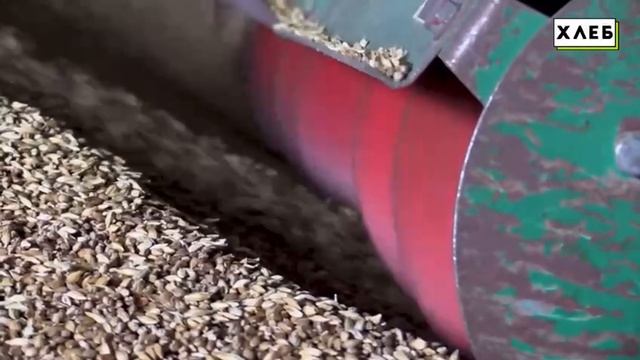 До прихода России фермеры Запорожской области продавали своё зерно за бесценок