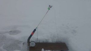 Жерлица с автоматическим подсекателем.