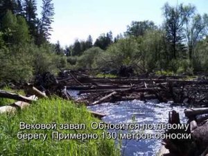 Таежные реки Дальнего Востока.