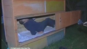 #Апидомик #Сон на пчелах #Апидомик видео