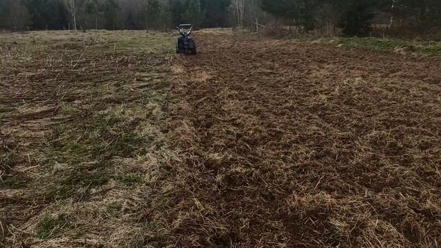 Фрезерование целины по сухой траве. Kubota K700 GA85 (Тяжелый дизельный японский мотоблок)