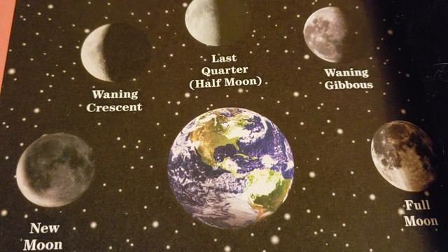 CC Cycle 2 week 11 Science Phases of the Moon смотреть онлайн