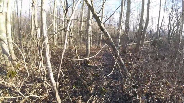 КУНИЦЫ НЕТ#ОХОТА С ЛАЙКОЙ# смотреть онлайн