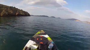 Watersnake  ASP T24 speed test