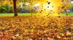 Выполнение задания в программе ProShow Producer Урок№28 Создаём снегопады и листопады