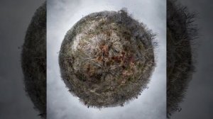 В. Пецкус "Отзвуки"