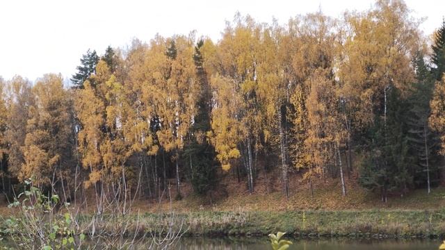 Канал имени Москвы -золотая осень . смотреть онлайн