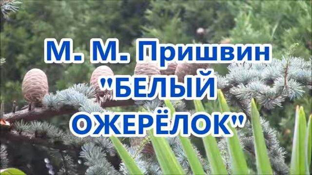 М. М. Пришвин "Белый ожерёлок" смотреть онлайн
