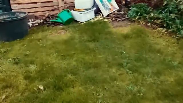 Отдали материал бесплатно на дачу. смотреть онлайн