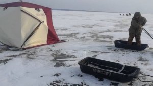 Перенос палатки снегирь 4 т лонг в сильный ветер