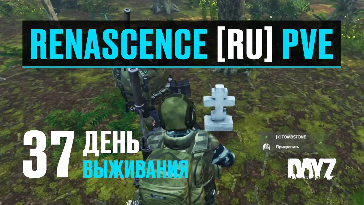 DayZ. RENASCENCE [RU] PVE. 37 день выживания. Куриный квест. Спасение выжившего. Экстренная посадка.
