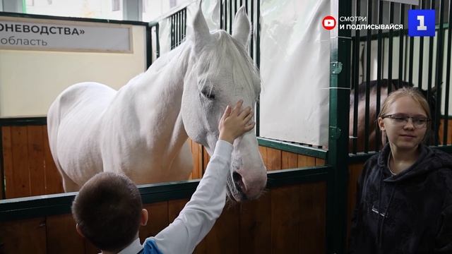 Лучших животных России показали на выставке «Золотая осень — 2023»