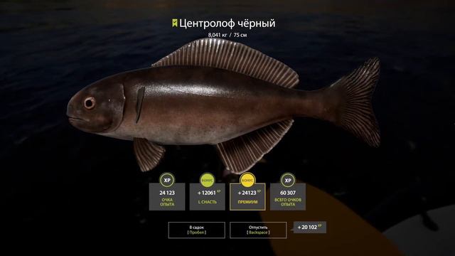 Норвежское море • Прокачиваем отвес • Русская Рыбалка 4 • Трансляция смотреть онлайн