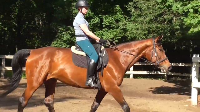 Учимся ездить рысью. Тренировка Оксана на Приме смотреть онлайн