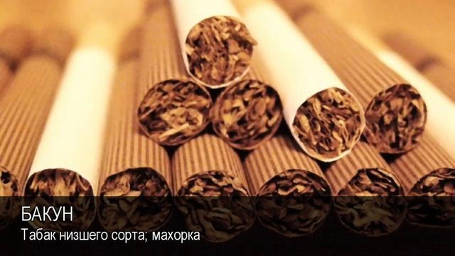 Бакун. Толковый Видеословарь русского языка