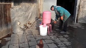 Кукурузная лущилка своими руками