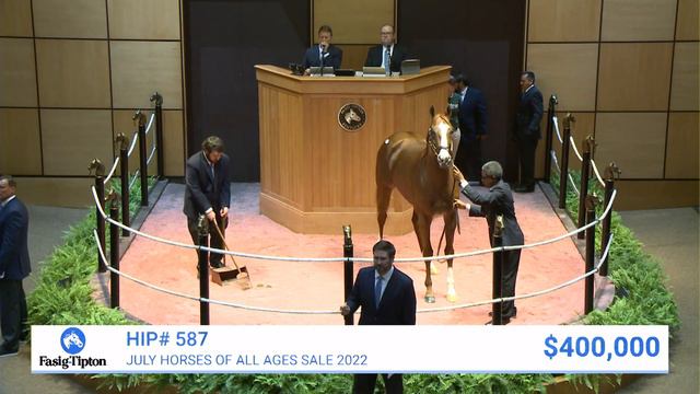 First Constitution (CHI) sells for $430,000 at July Selected Horses of All Ages (2022) смотреть онлайн