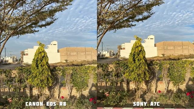 Canon Eos R8 VS Sony A7C Camera Test Comparison смотреть онлайн