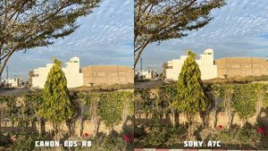 Canon Eos R8 VS Sony A7C Camera Test Comparison