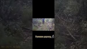 Рыбалка. Хариус. Ленок. Эндуро кросс