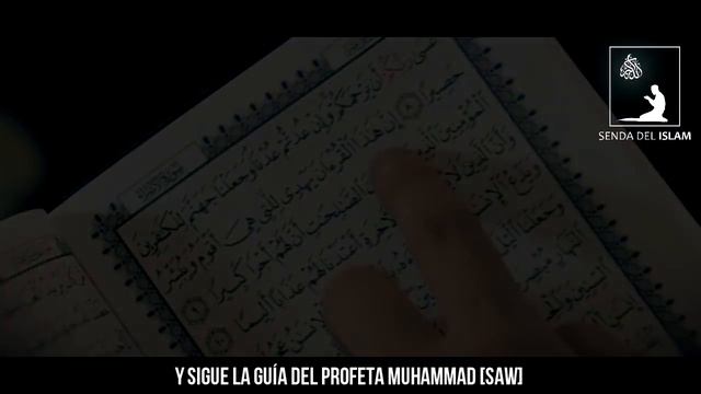 ISLAM ES PAZ | Profeta Muhammad predijo y maldijo a los Extremistas (Khawarij) смотреть онлайн