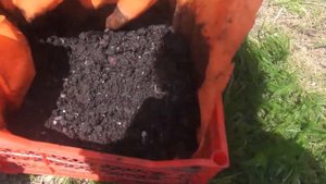 Червеферма. Где взять червя для рыбалки, если рыболовные магазины уже закрыты?! Гумус для растений