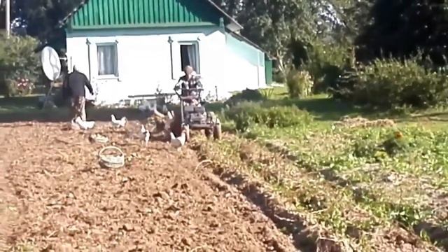 Еще один способ копки и подбора картофеля смотреть онлайн
