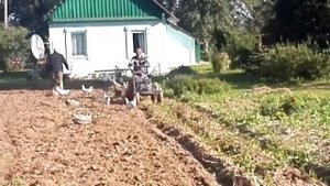 Еще один способ копки и подбора картофеля