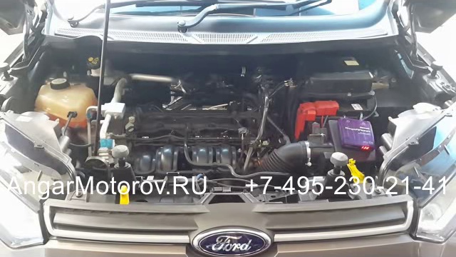 ecosport смотреть онлайн