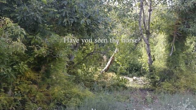 Samsung NX300 1920x1080 Sample смотреть онлайн