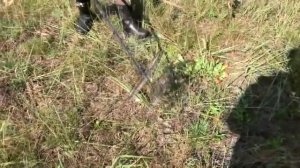 Коп 2017. Поиск монет. Копаем в деревне. Что же мы нашли с прибором АКА Сигнум MFT 7272 M