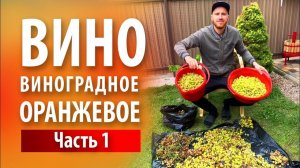 Вино «Оранжевое» из белого винограда | Часть 1