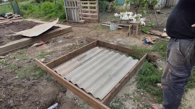 ЦЫПЛЯТА НЕСУШКИ_ПОГОДНЫЕ КАРУСЕЛИ_СЕПТИК ПОЧТИ ГОТОВ