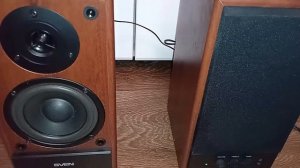 Видео обзор активных колонок 2.0 Sven sps-702