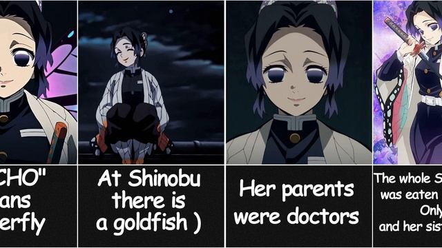 Facts about Shinobu Kocho that You Didn't Know / Demon Slayer