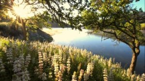 Быть в Духе. Практики, что такое Дух и как вы можете почувствовать его в себе.