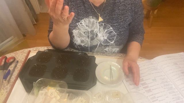 Посев на рассаду томатных Гномов. смотреть онлайн