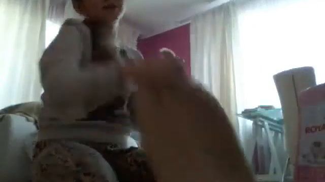 Как нужно ухаживать за котятами,и что надо купить!