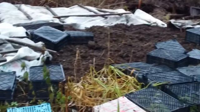 Как правильно укрывать растения на зиму. смотреть онлайн