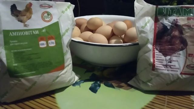 Что необходимо, чтобы куры неслись зимой?| Необходимые добавки в корм для хорошей яйценоскости птиц смотреть онлайн