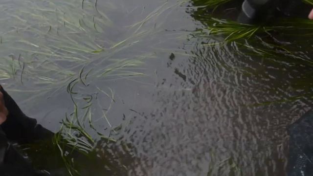 Путешествие по Сахалину. Часть 1. Природа Сахалина. Остров Сахалин 2019 смотреть онлайн