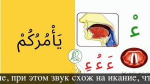 Коран с нуля Практика Хамза  ء  Арабский алфавит