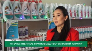 Отечественное производство бытовой химии