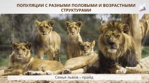 Популяционно - видовой уровень организации жизни. Популяция и её основные характеристики