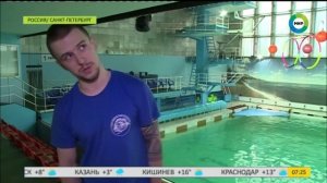 Проверено на себе: профессия Дрессировщик дельфинов.