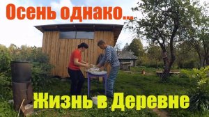 Что то стало холодать, не пора ли печь топить // Жизнь в деревне