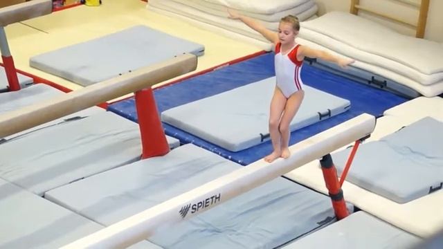 СпортивнаЯ гимнастика